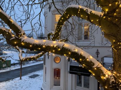 Kerstverlichting die meegroeit met de boom
