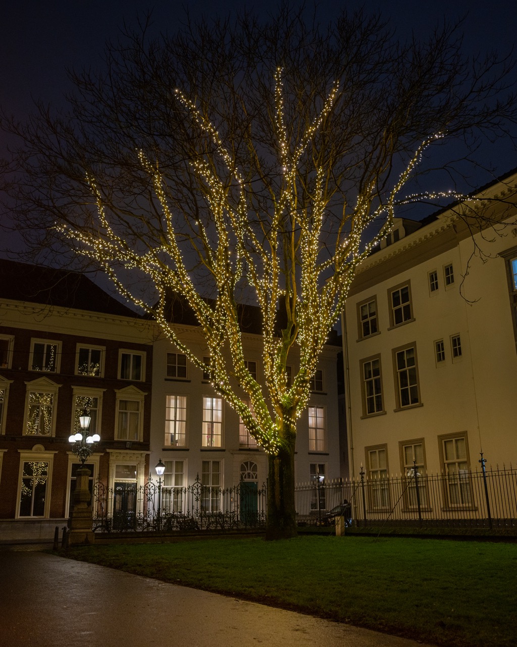 Dynamische boomverlichting