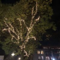 mooie sfeerverlichting van cremerson verlichting