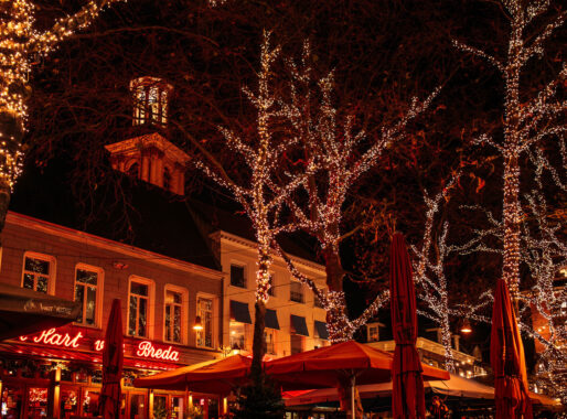 Natuurlijke harmonie tussen licht en boom